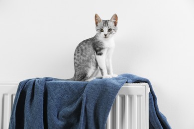 Photo of Cute little kitten on radiator at home