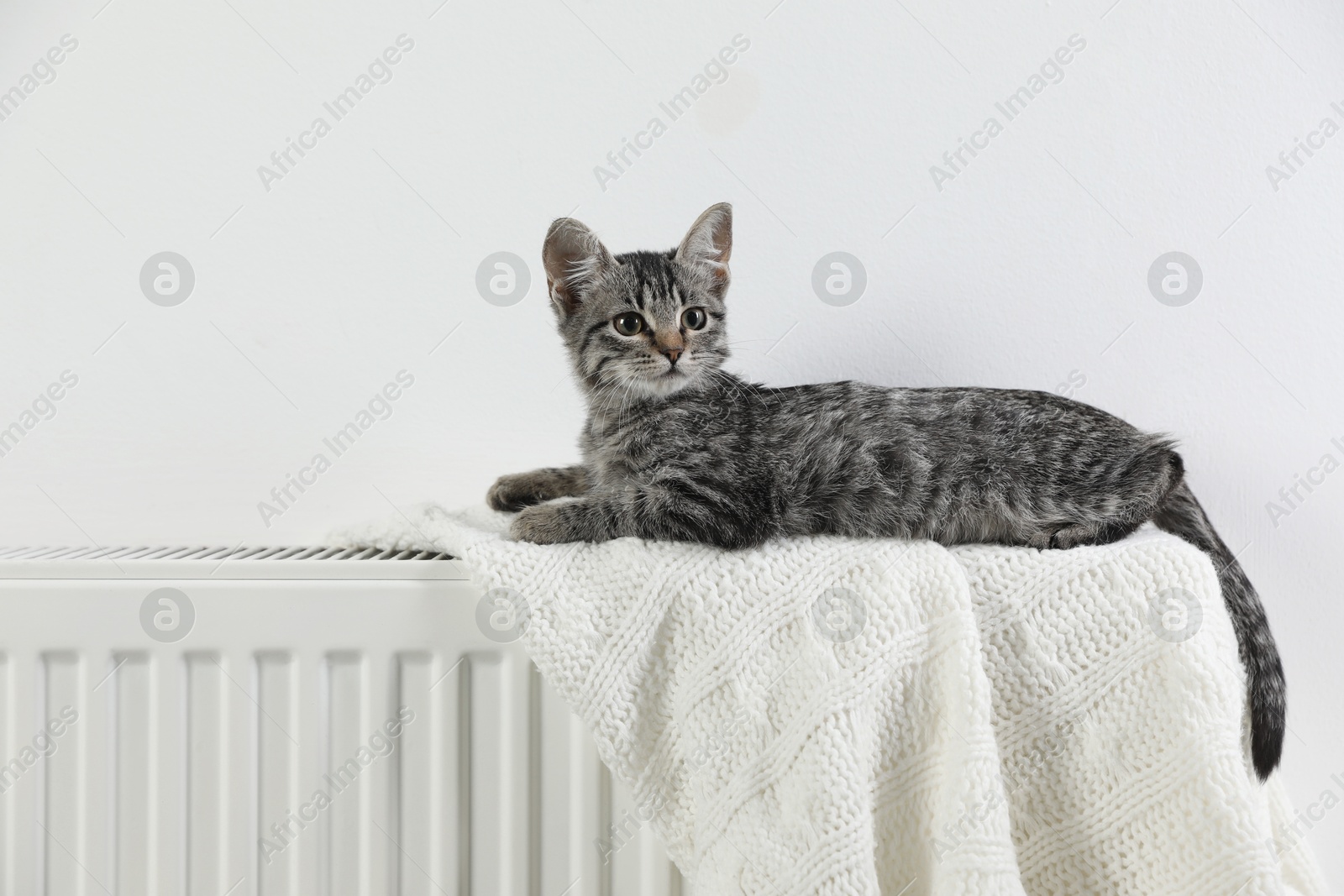 Photo of Cute little kitten on radiator at home, space for text