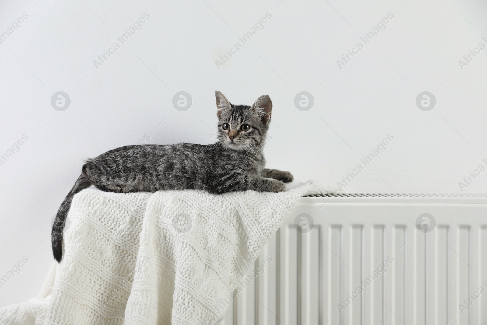 Photo of Cute little kitten on radiator at home, space for text