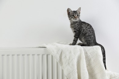 Photo of Cute little kitten on radiator at home, space for text