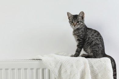 Photo of Cute little kitten on radiator at home, space for text