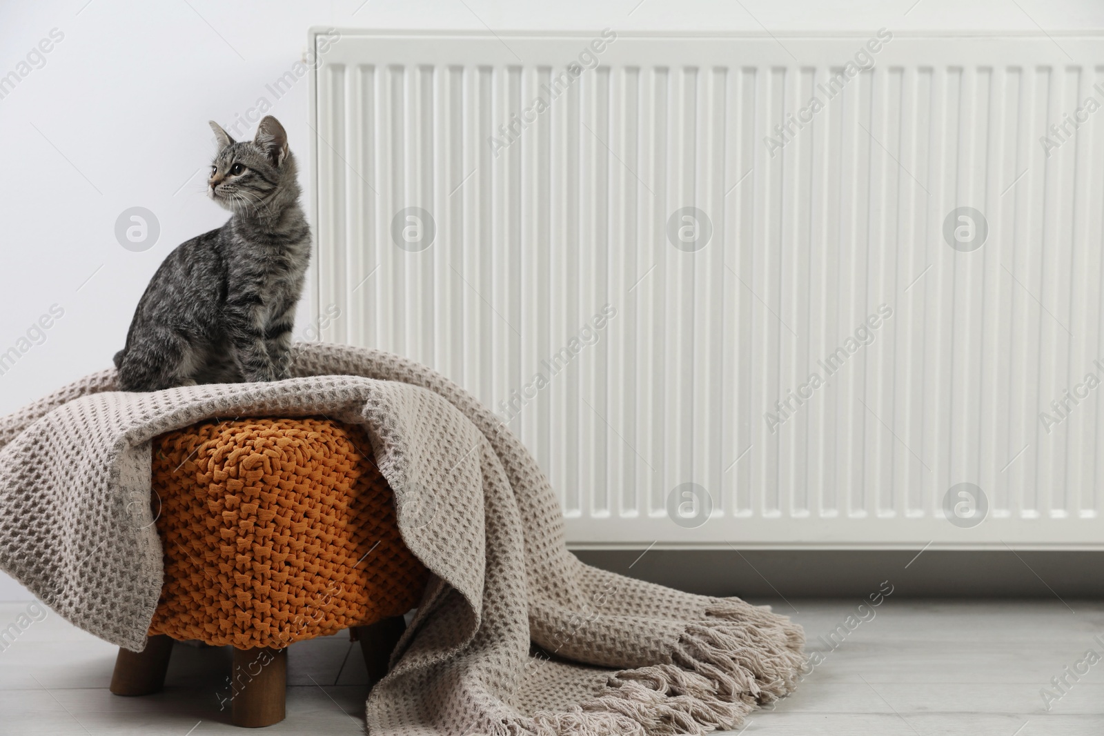 Photo of Cute little kitten on pouf near radiator at home, space for text