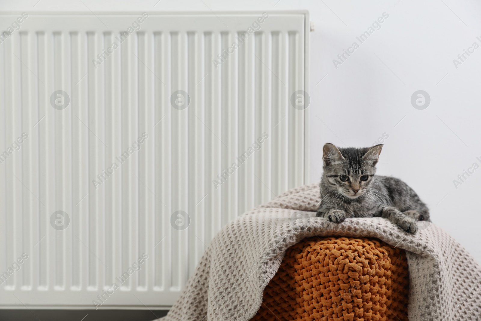 Photo of Cute little kitten on pouf near radiator at home, space for text