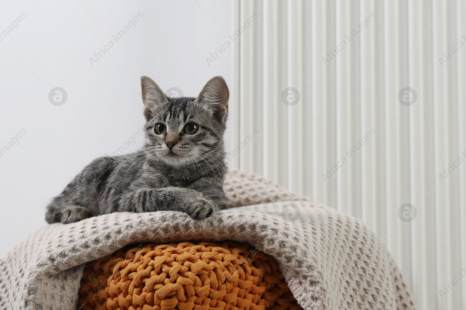 Photo of Cute little kitten on pouf near radiator at home