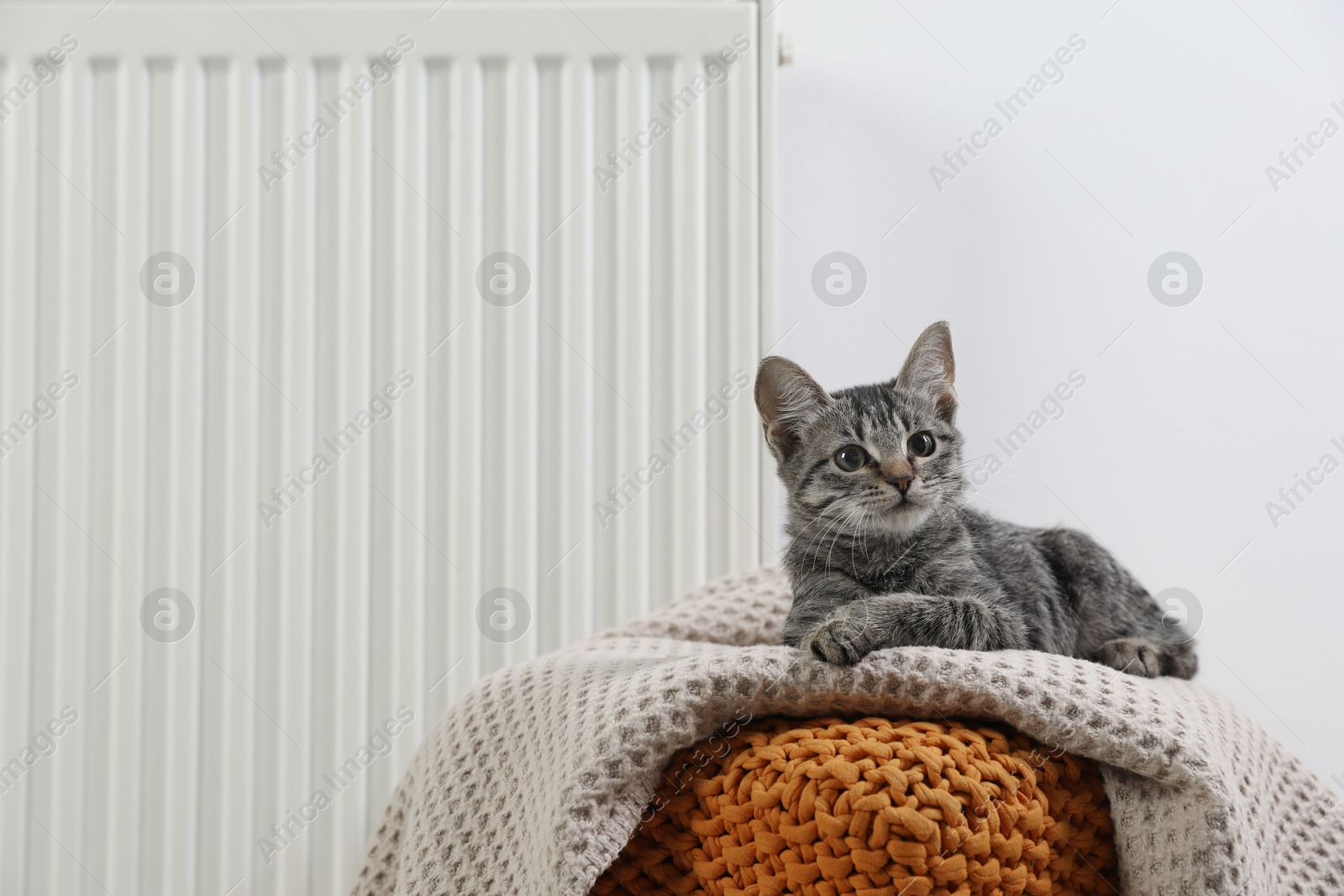 Photo of Cute little kitten on pouf near radiator at home