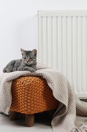 Photo of Cute little kitten on pouf near radiator at home