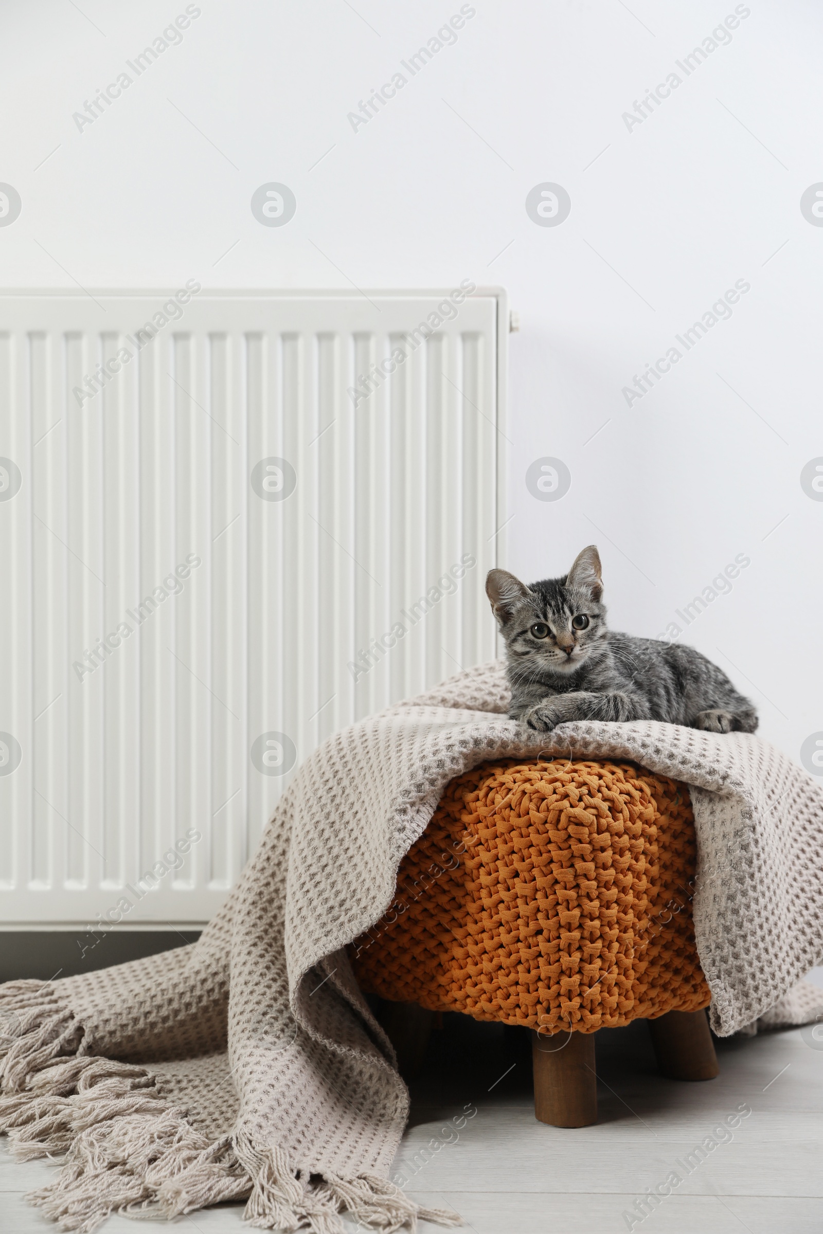 Photo of Cute little kitten on pouf near radiator at home