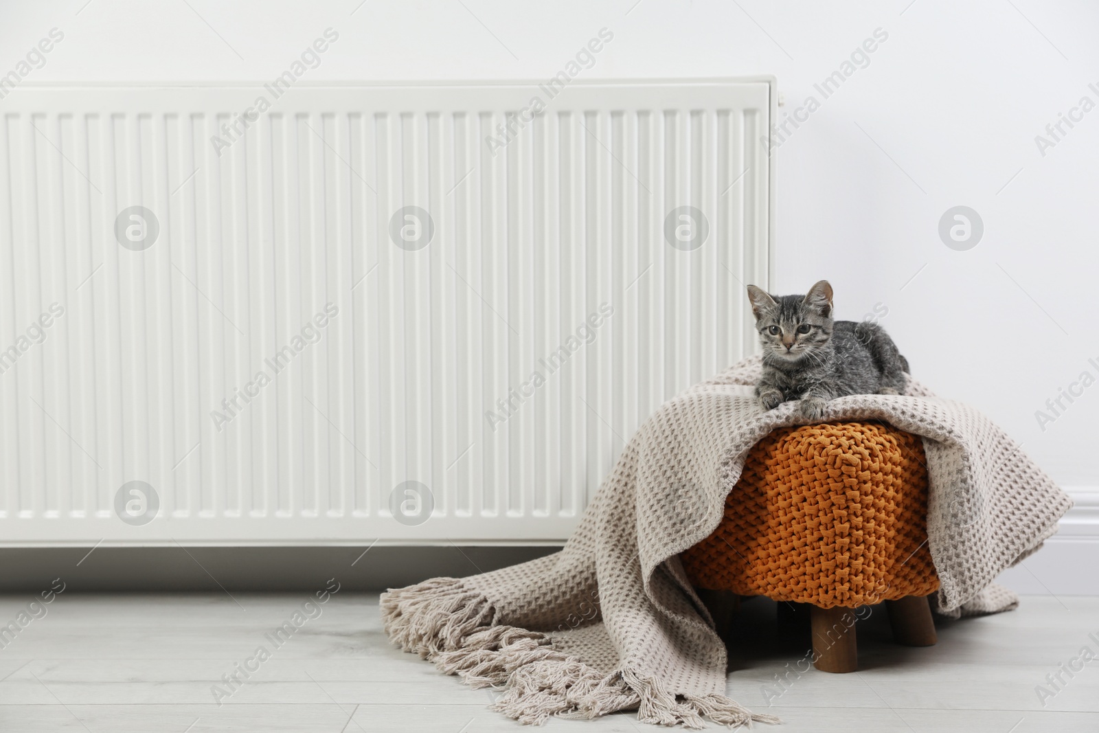 Photo of Cute little kitten on pouf near radiator at home, space for text