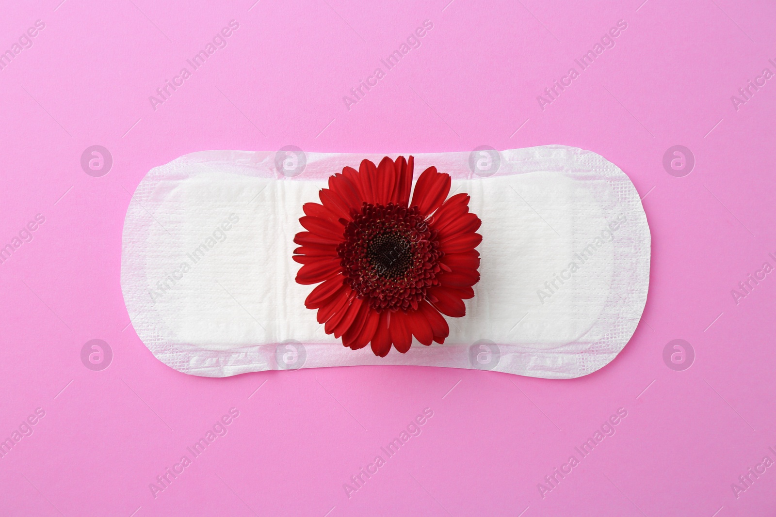 Photo of Menstrual pad with red flower on violet background, top view