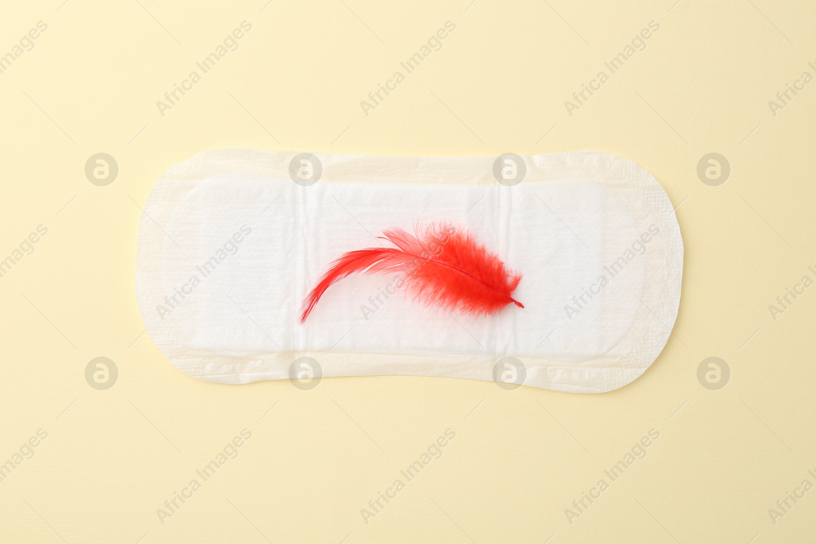 Photo of Menstrual pad with red feather on beige background, top view