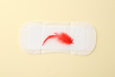 Photo of Menstrual pad with red feather on beige background, top view