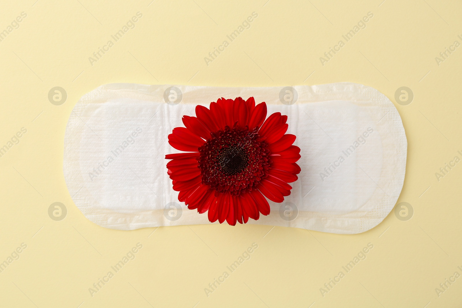 Photo of Menstrual pad with red flower on beige background, top view