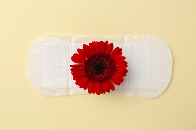 Photo of Menstrual pad with red flower on beige background, top view