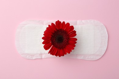 Photo of Menstrual pad with red flower on pink background, top view