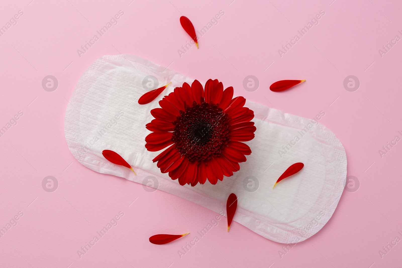 Photo of Menstrual pad with red flower on pink background, top view