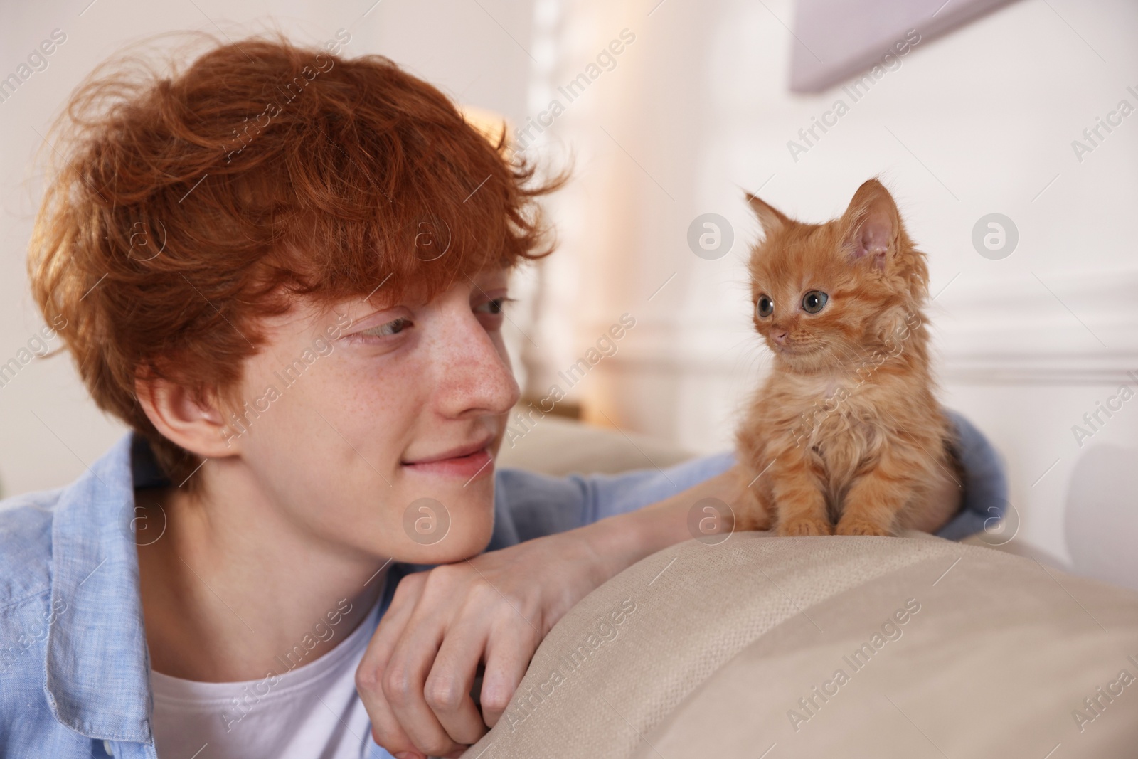 Photo of Redhead teenage boy with cute ginger kitten on sofa indoors