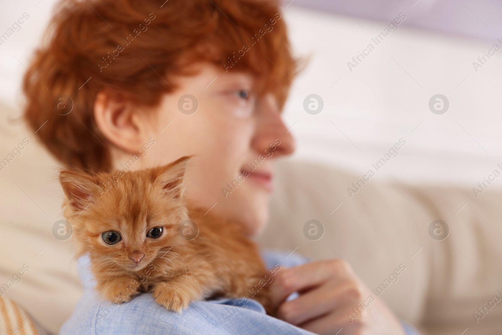 Photo of Redhead teenage boy with cute ginger kitten indoors, selective focus