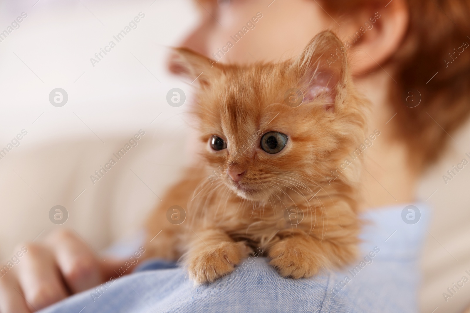 Photo of Teenage boy with cute ginger kitten indoors, closeup