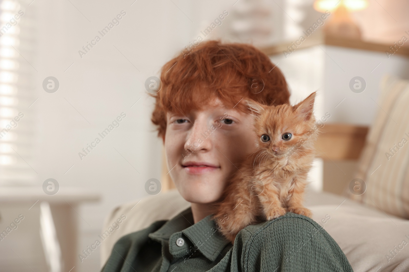 Photo of Redhead teenage boy with cute ginger kitten indoors