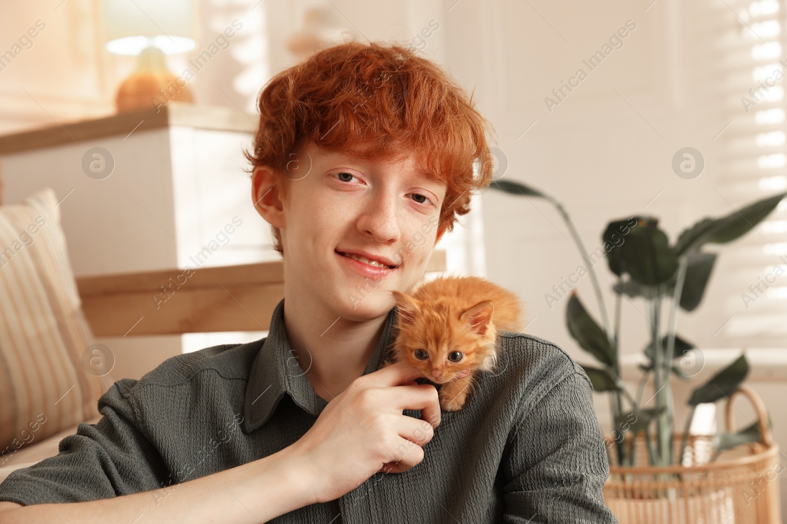 Photo of Redhead teenage boy with cute ginger kitten indoors