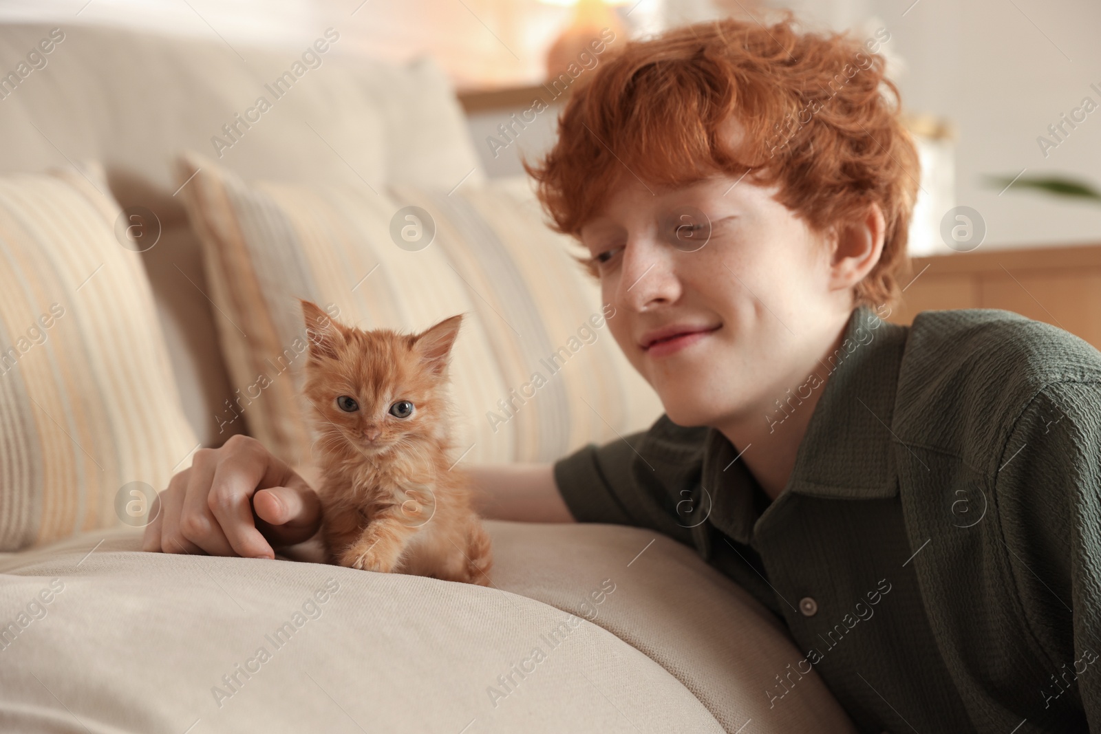 Photo of Redhead teenage boy with cute ginger kitten on sofa indoors