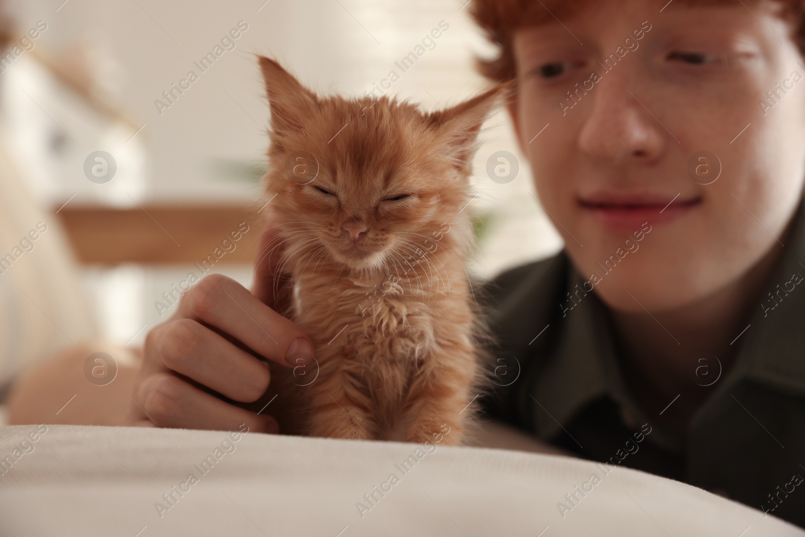 Photo of Redhead teenage boy with cute ginger kitten on sofa indoors, selective focus