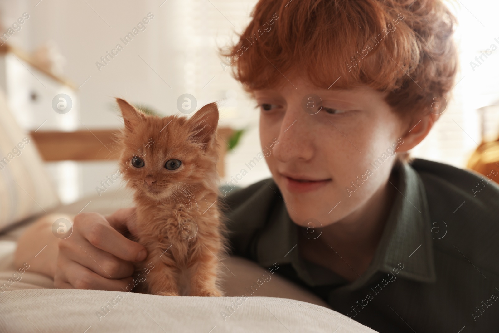 Photo of Redhead teenage boy with cute ginger kitten on sofa indoors