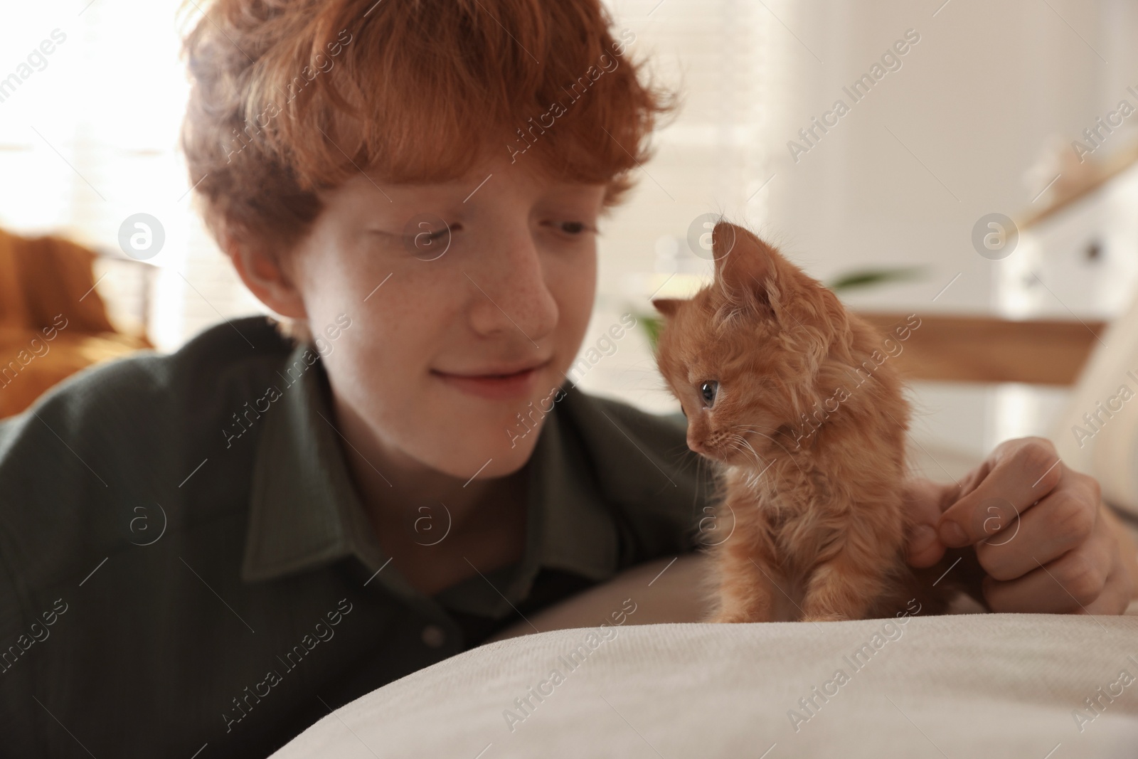 Photo of Redhead teenage boy with cute ginger kitten on sofa indoors