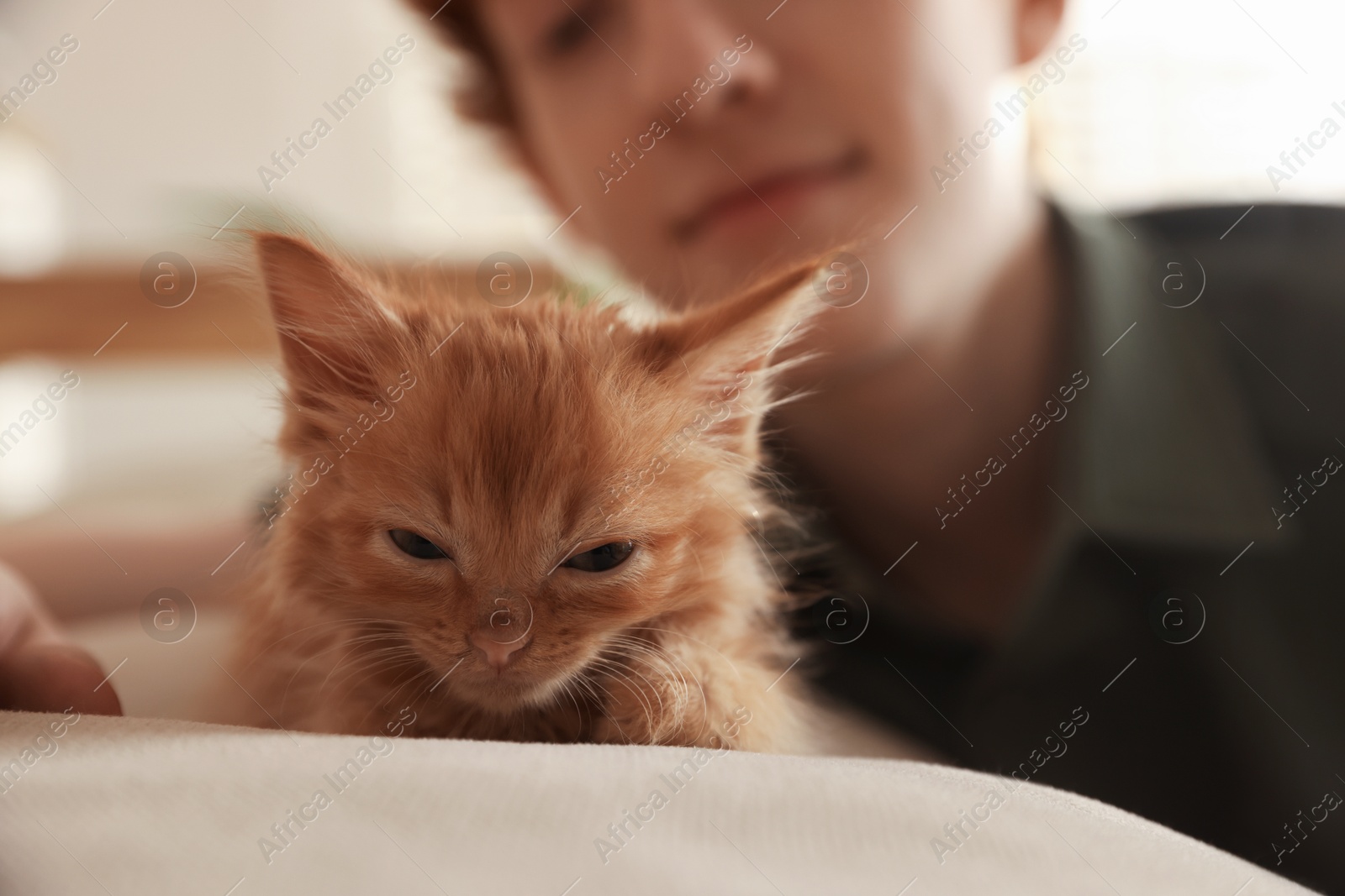 Photo of Teenage boy with cute ginger kitten on sofa indoors, selective focus