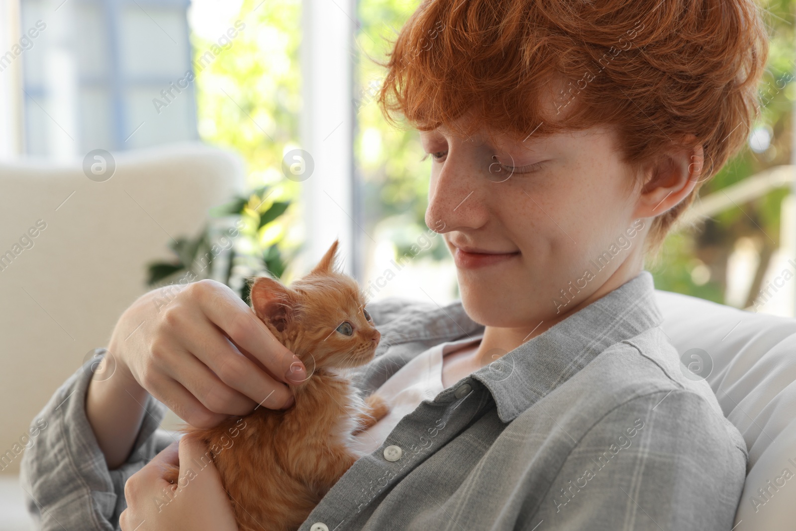 Photo of Redhead teenage boy with cute ginger kitten indoors