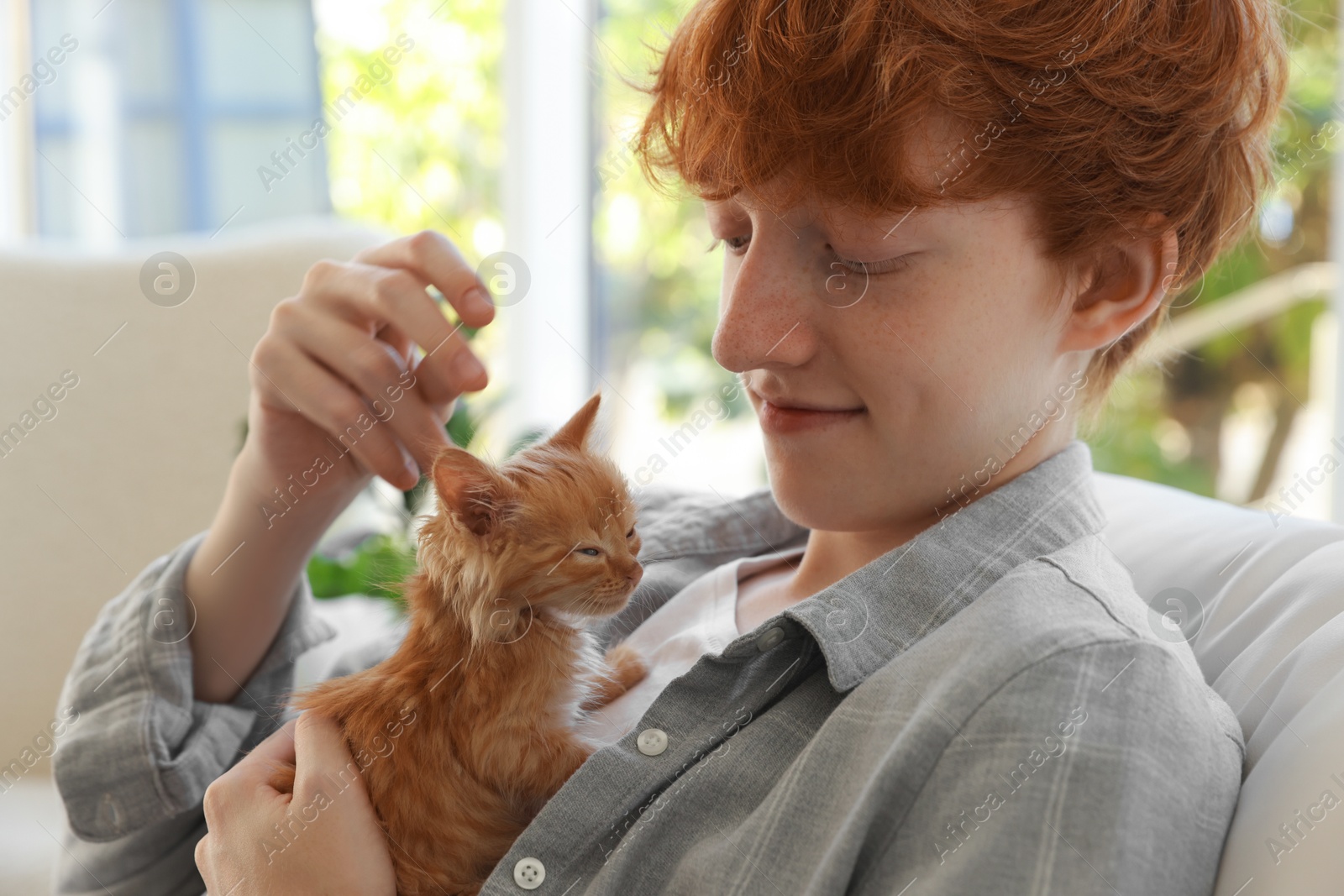 Photo of Redhead teenage boy with cute ginger kitten indoors