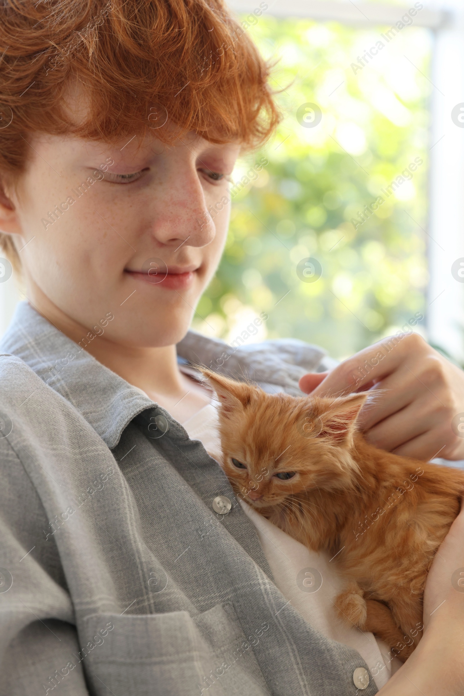 Photo of Redhead teenage boy with cute ginger kitten indoors, closeup