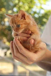 Photo of Teenage boy with cute orange kitten on blurred background, closeup