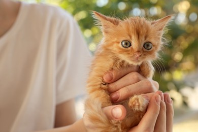 Photo of Teenage boy with cute orange kitten on blurred background, closeup