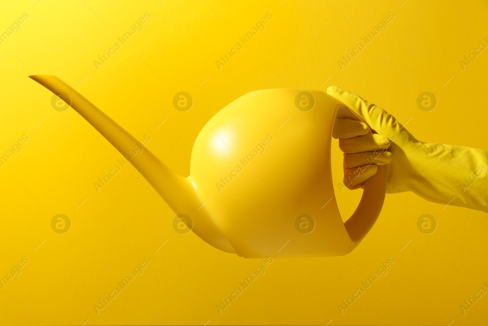 Photo of Woman in rubber glove holding plastic watering can on yellow background, closeup