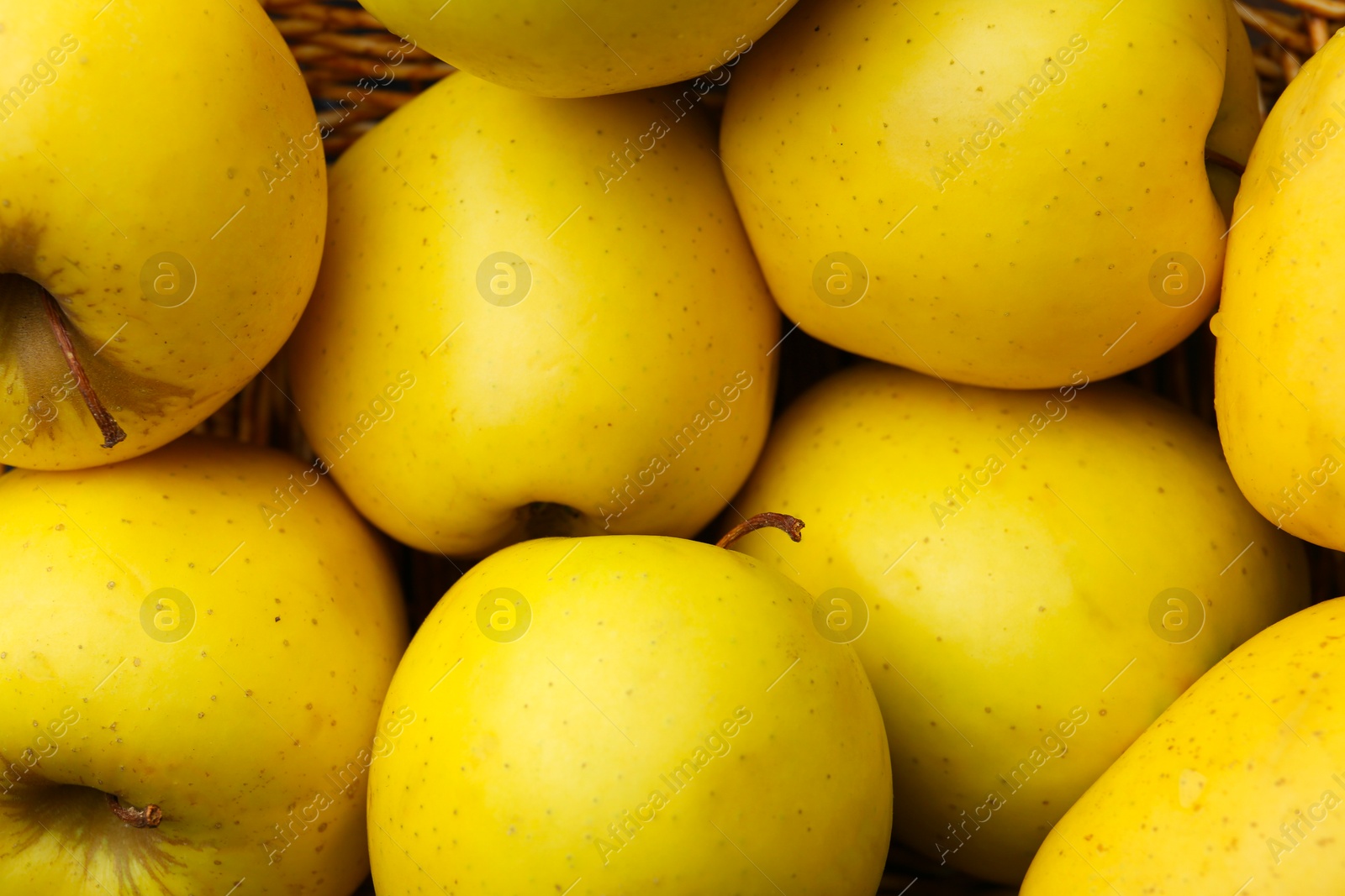 Photo of Fresh juicy yellow apples in basket, closeup