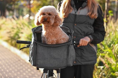 Photo of Woman with bicycle and cute Toy Poodle dog in pet carrier outdoors on sunny day, closeup