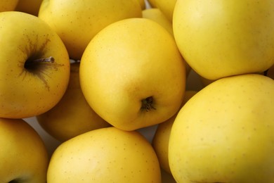 Photo of Fresh ripe yellow apples as background, closeup