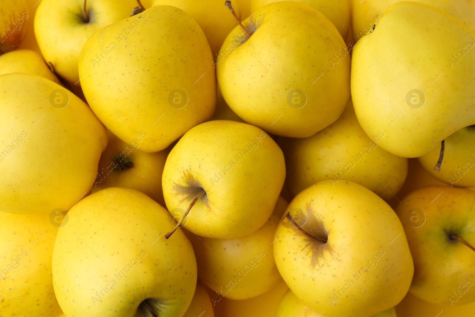 Photo of Fresh ripe yellow apples as background, above view