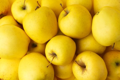 Photo of Fresh ripe yellow apples as background, above view