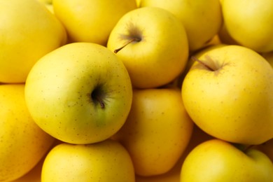 Photo of Fresh ripe yellow apples as background, closeup