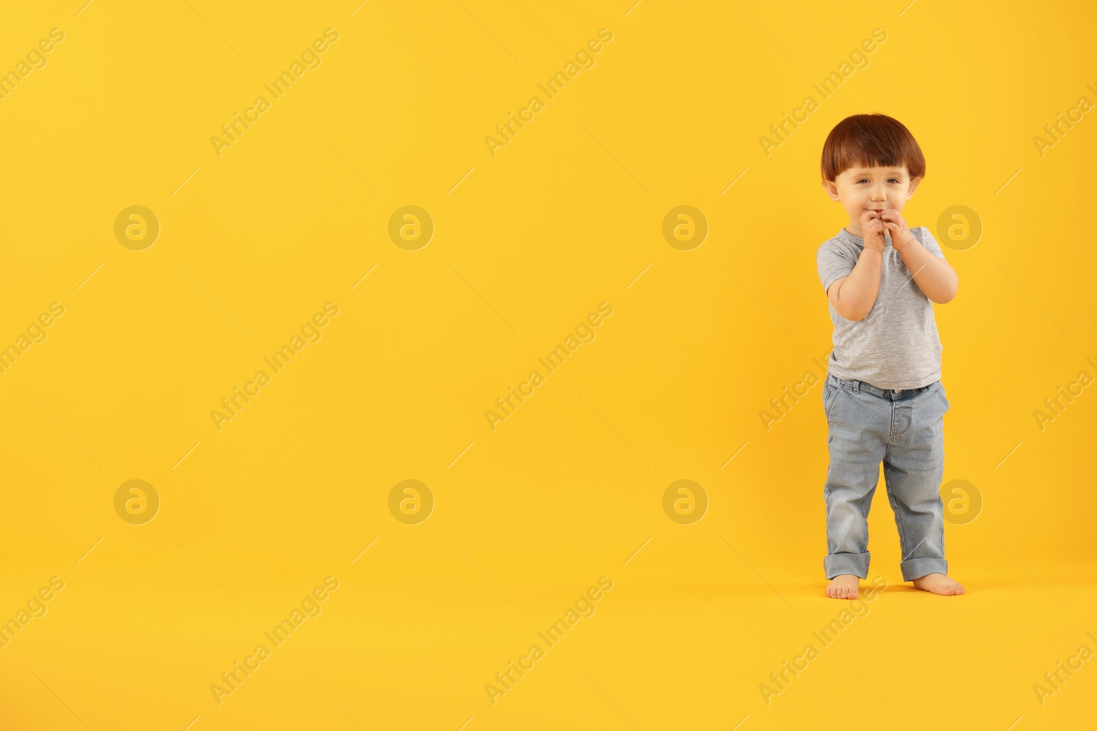 Photo of Cute little boy on yellow background. Space for text