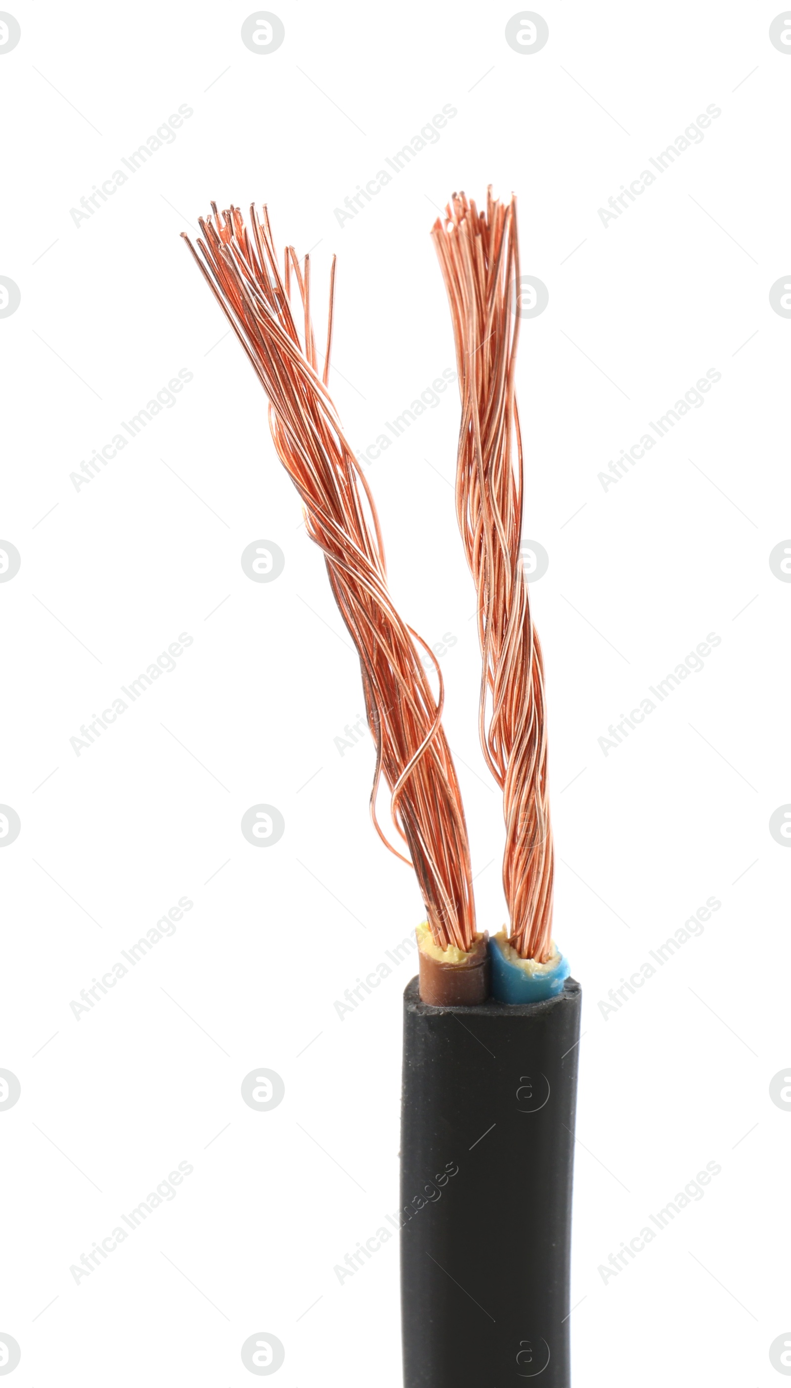 Photo of Stripped electrical wire with copper strands on white background