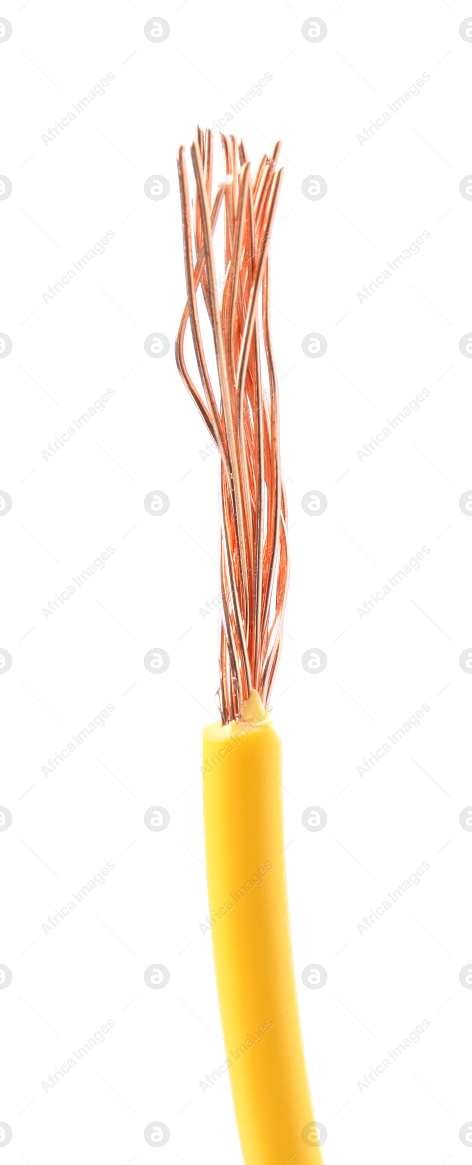 Photo of Stripped electrical wire with copper strands on white background