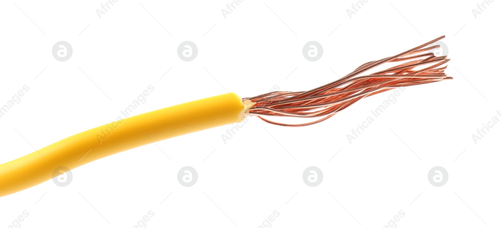 Photo of Stripped electrical wire with copper strands on white background