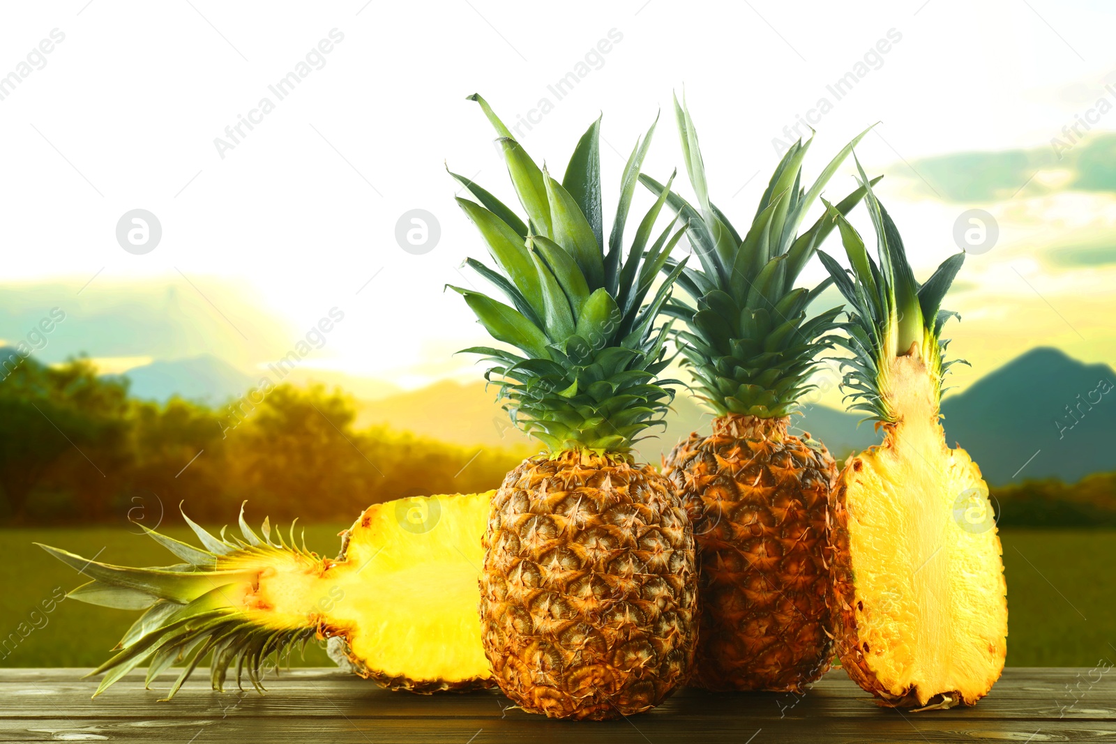 Image of Fresh ripe pineapples on wooden table against mountain landscape. Space for text