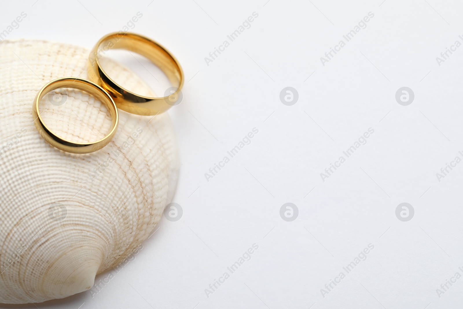 Photo of Beautiful golden wedding rings and sea shell on white background, above view. Space for text