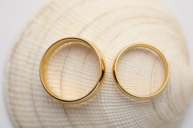 Beautiful golden wedding rings and sea shell on white background, top view