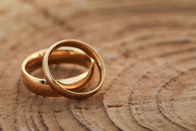 Beautiful golden wedding rings on tree stump, closeup. Space for text