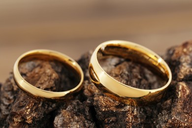 Photo of Beautiful golden wedding rings on tree bark, closeup